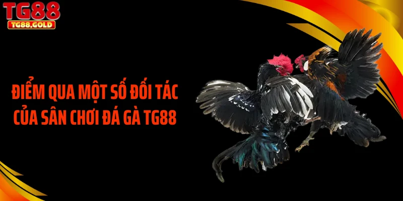 Điểm qua một số đối tác của sân chơi đá gà TG88