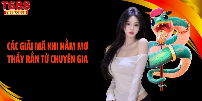 Các giải mã khi nằm mơ thấy rắn từ chuyên gia