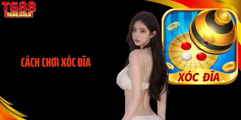 Cách Chơi Xóc Đĩa