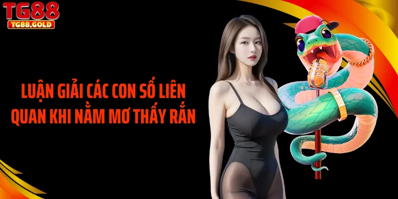 Luận giải các con số liên quan khi nằm mơ thấy rắn